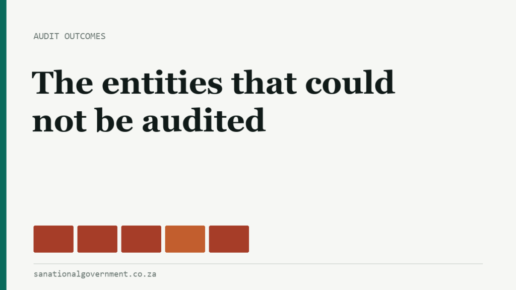 The entities that could not be audited
