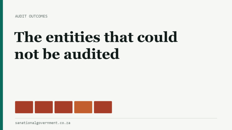 The entities that could not be audited
