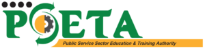 Public Service Sector Education and Training Authority (PSETA)